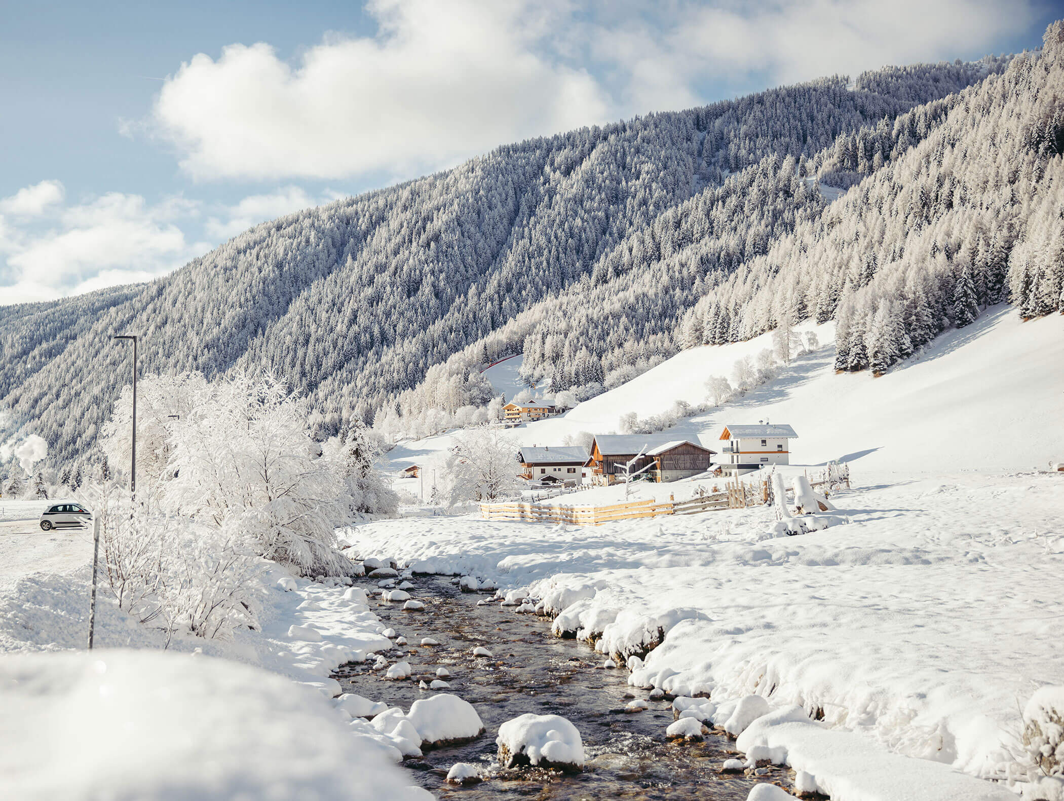 Winter