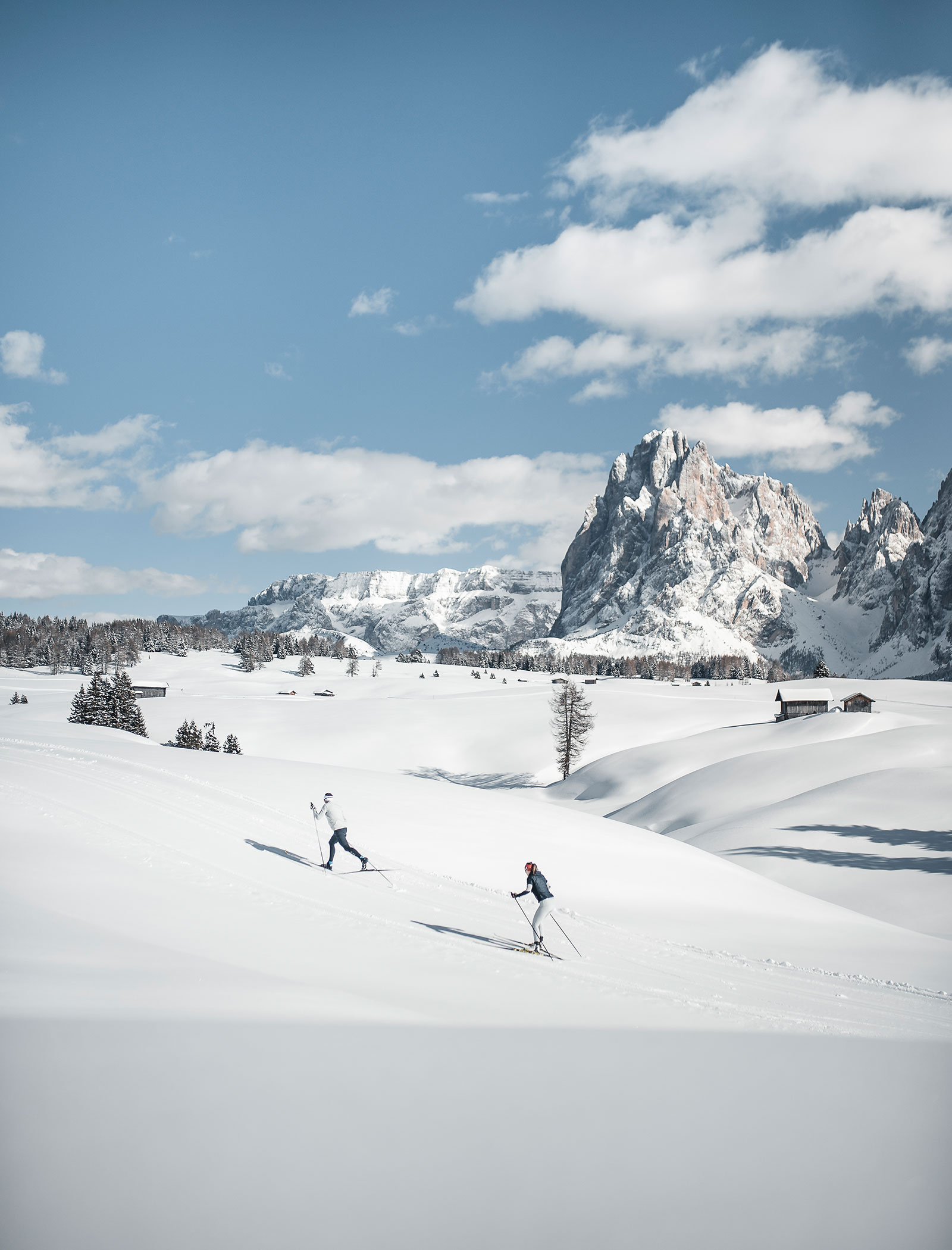 Zwei Langläufer auf der Loipe inmitten der verschneiten Landschaft - Hofer