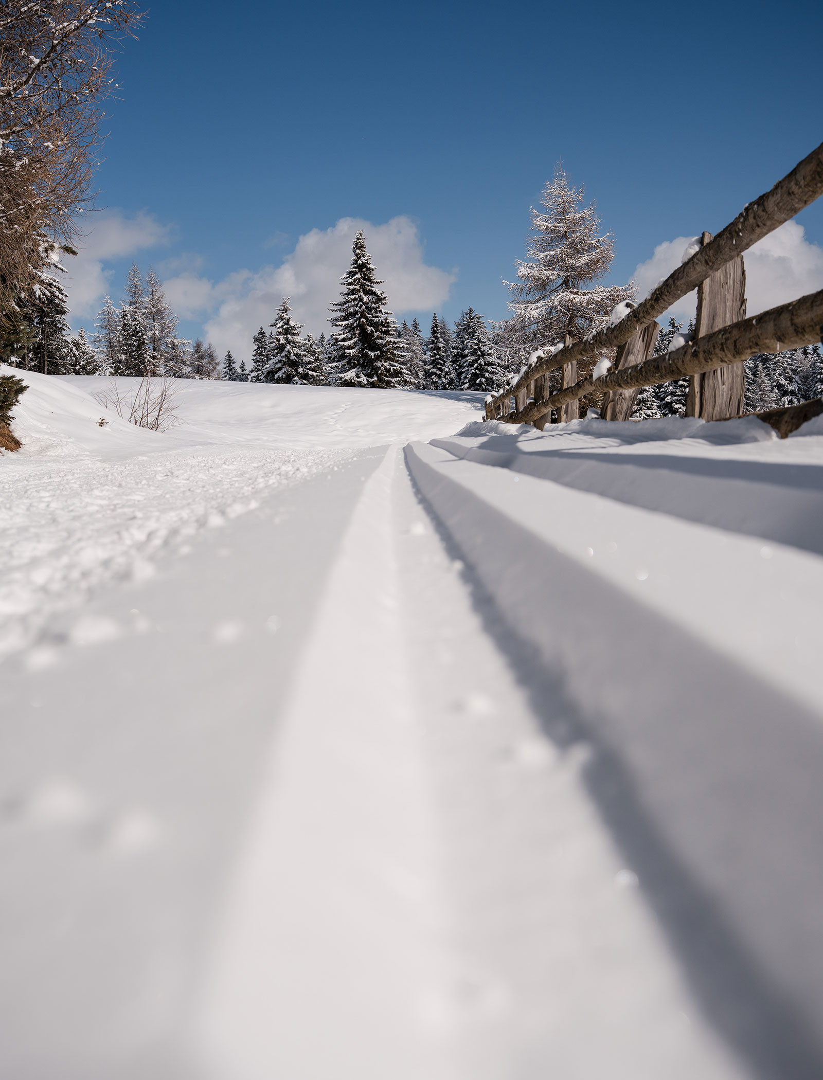 Rodelbahn in einer verschneiten Landschaft - Hofer